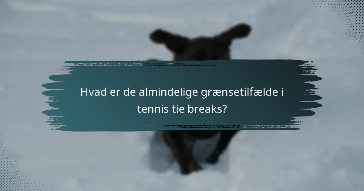 Hvad er de almindelige grænsetilfælde i tennis tie breaks?
