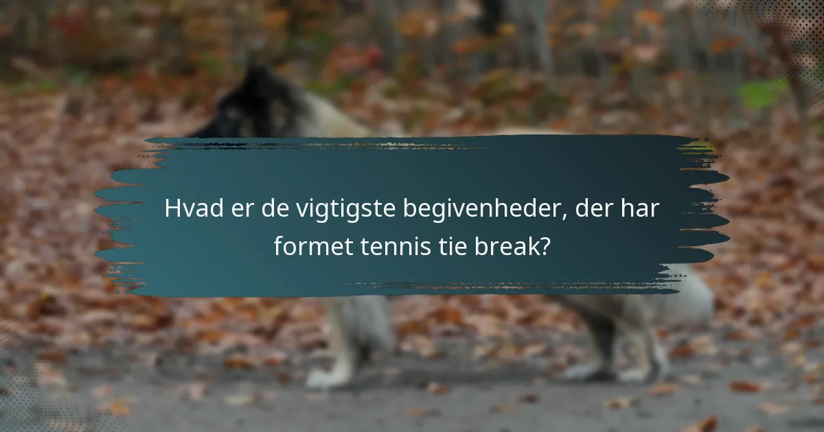 Hvad er de vigtigste begivenheder, der har formet tennis tie break?