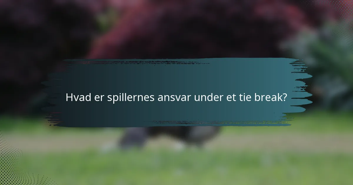 Hvad er spillernes ansvar under et tie break?