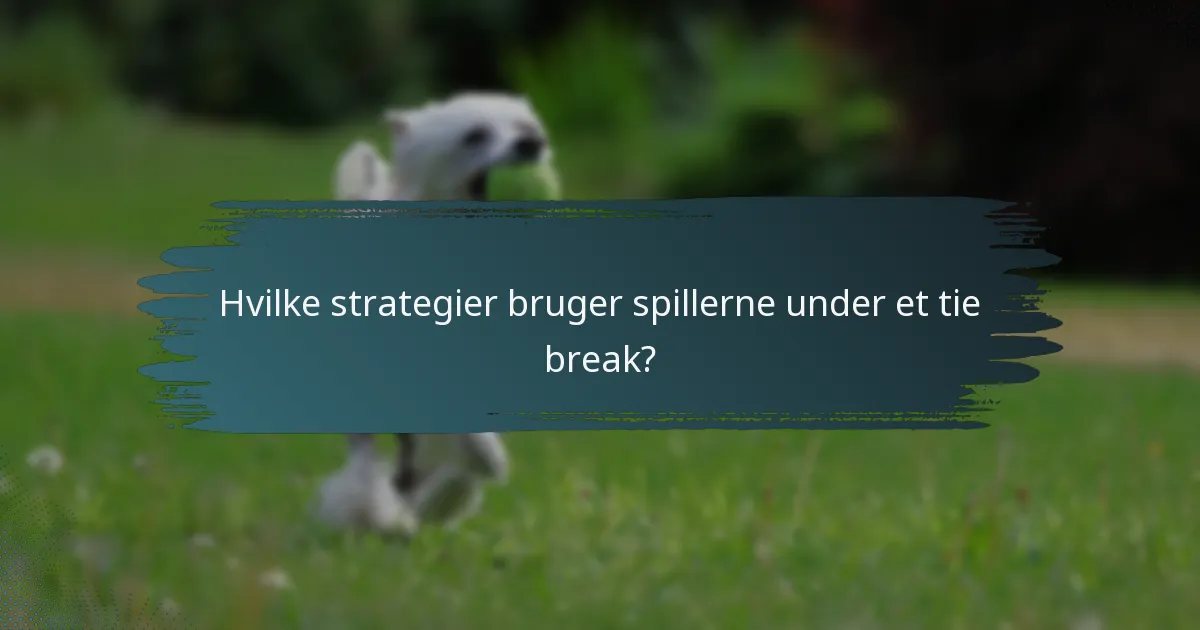 Hvilke strategier bruger spillerne under et tie break?