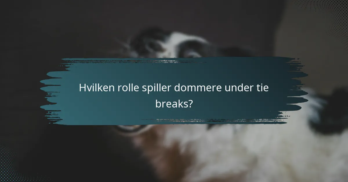 Hvilken rolle spiller dommere under tie breaks?