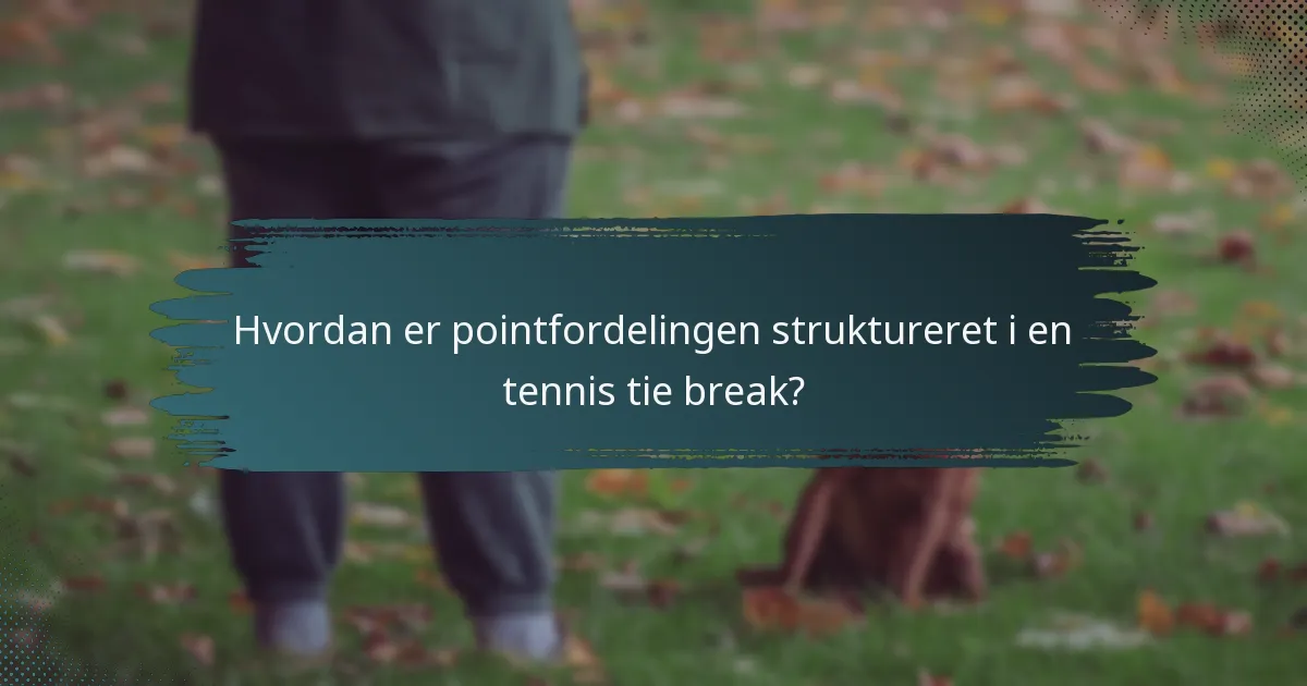 Hvordan er pointfordelingen struktureret i en tennis tie break?